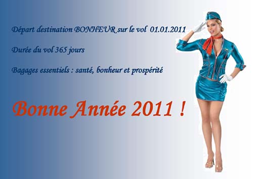 par ce qu'il faut y penser un peu (les bonnes résolutions) Voeux2011
